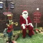 Animadores para festas infantis